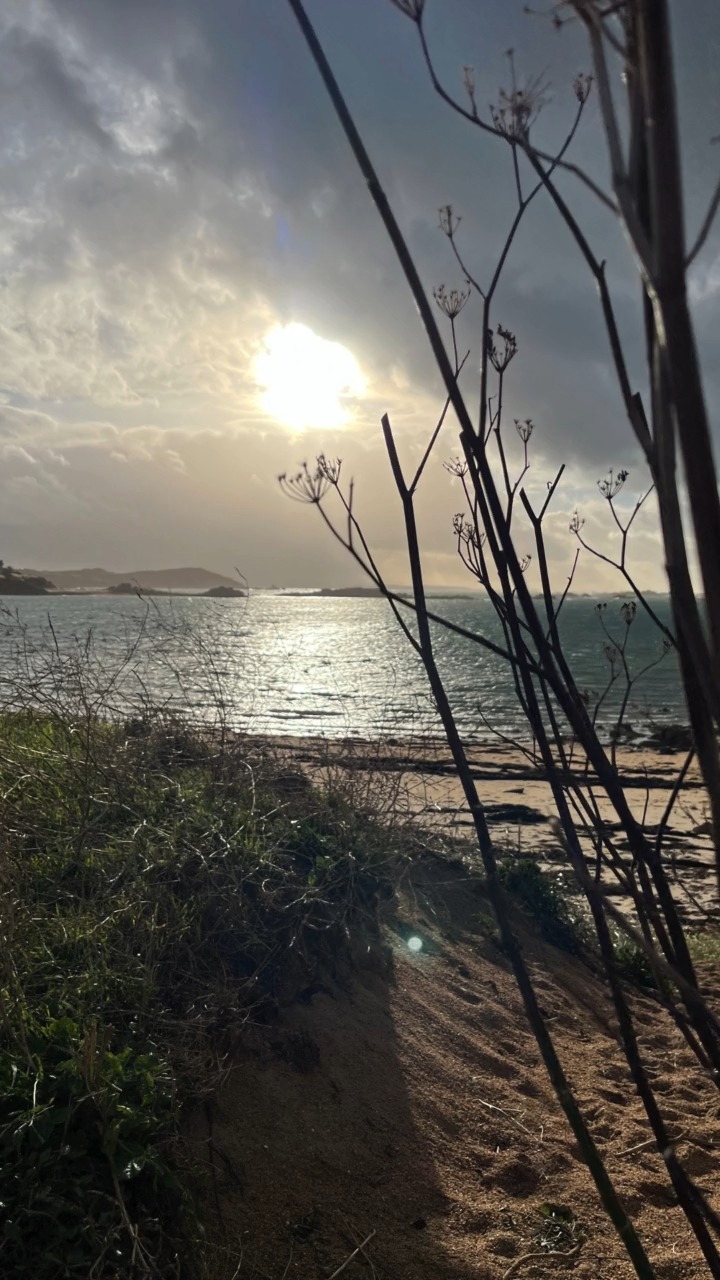 Quand les couleurs dorées rencontrent les embruns bretons…
L’automne à #Trébeurden, c’est la douceur d’un week-end au bord de la mer : les balades sur la plage, les lumières dorées du soir, un chocolat chaud dans notre salon à l'ambiance cocooning qui fait du bien.

Venez profiter de la Bretagne autrement, paisible et authentique.
À très vite à "La Maison Trébeurden".

#LaMaisonTrébeurden #Trébeurden #CôteDeGranitRose #Bretagne #AutomneEnBretagne #WeekendEnBretagne #SéjourMer #HotelDeCharme #EscapadeBretonne #CocooningBreton