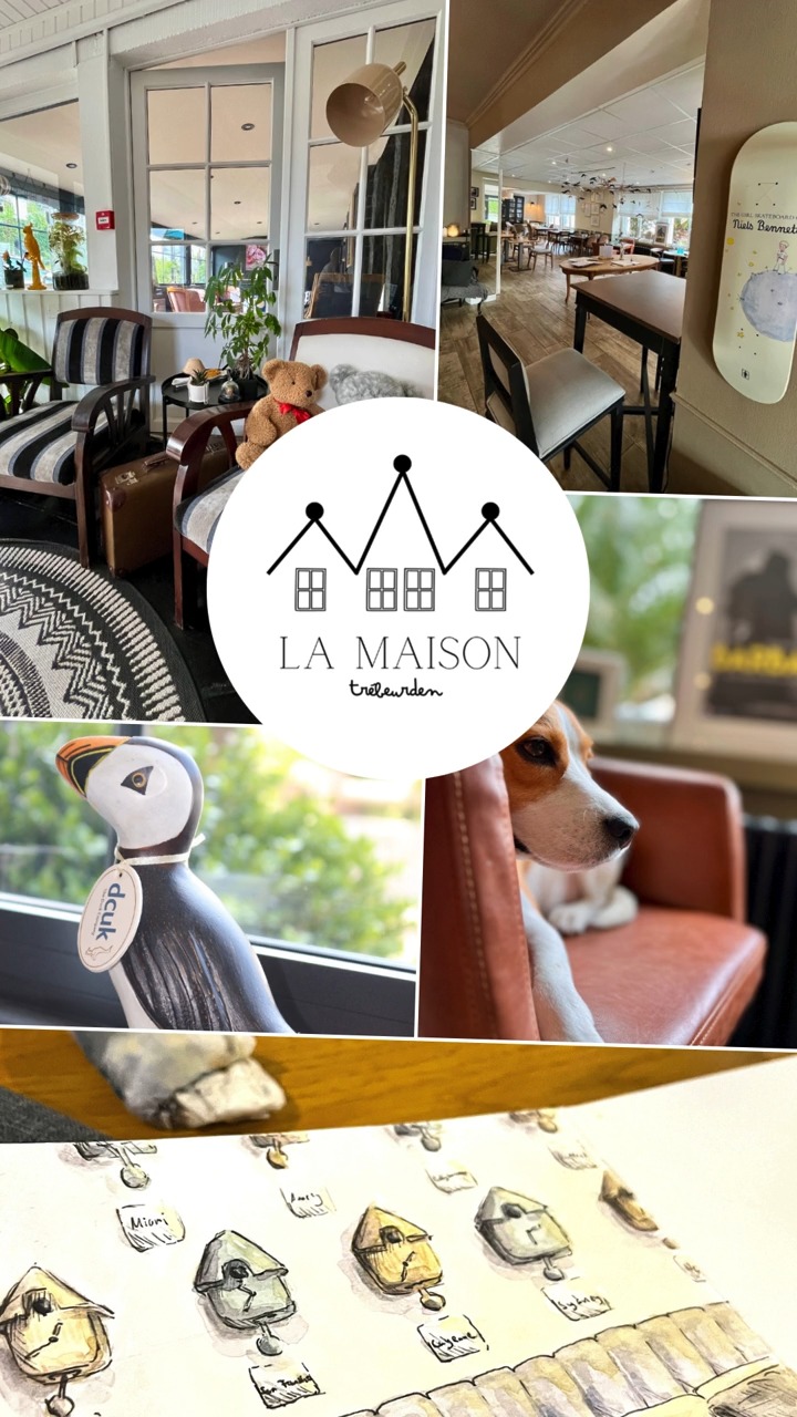 Les beaux jours arrivent 🌞, découvrez la Bretagne, sa côte le temps d'un weekend dans un cadre chaleureux et convivial à quelques mètres de la plage et du départ du GR34.
Au menu ?  Culture, gatronomie, nature, détente ...
Réservez dès maintenant : 🔗 www.lamaisontrebeurden.fr

 #weekends #hotels #hotel #bretagne #evasion #hiking #plage #detente