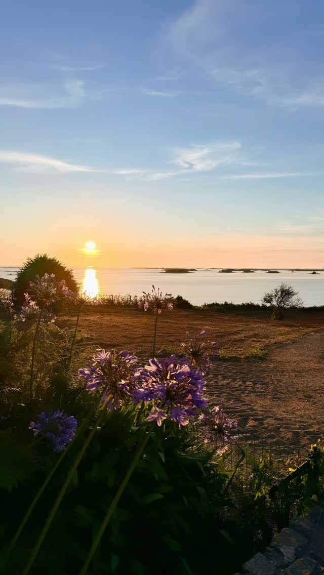 Bien sûr, il y a Trébeurden en été. Et puis il y a Trébeurden maintenant, en automne…

Avec ses lumières, ses couleurs et cette mer qui n’est jamais tout à fait la même.

Il nous reste encore quelques rares disponibilités à La Maison Trébeurden pendant les prochaines vacances.

Si vous avez envie de découvrir Trébeurden à cette saison, dans une atmosphère paisible, avec un accueil chaleureux et sincère, nous serons heureux de vous recevoir. 🍂

📱Informations et réservations au +33 (0)2 96 15 43 18 ou sur notre site internet (lien en bio).

#LaMaisonTrebeurden #Trebeurden #Bretagne #AutomneAuBordDeLaMer