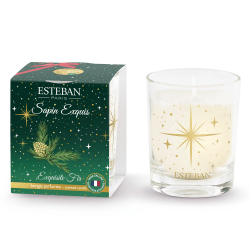 Esteban Bougie parfumée 180g - Edition Noël