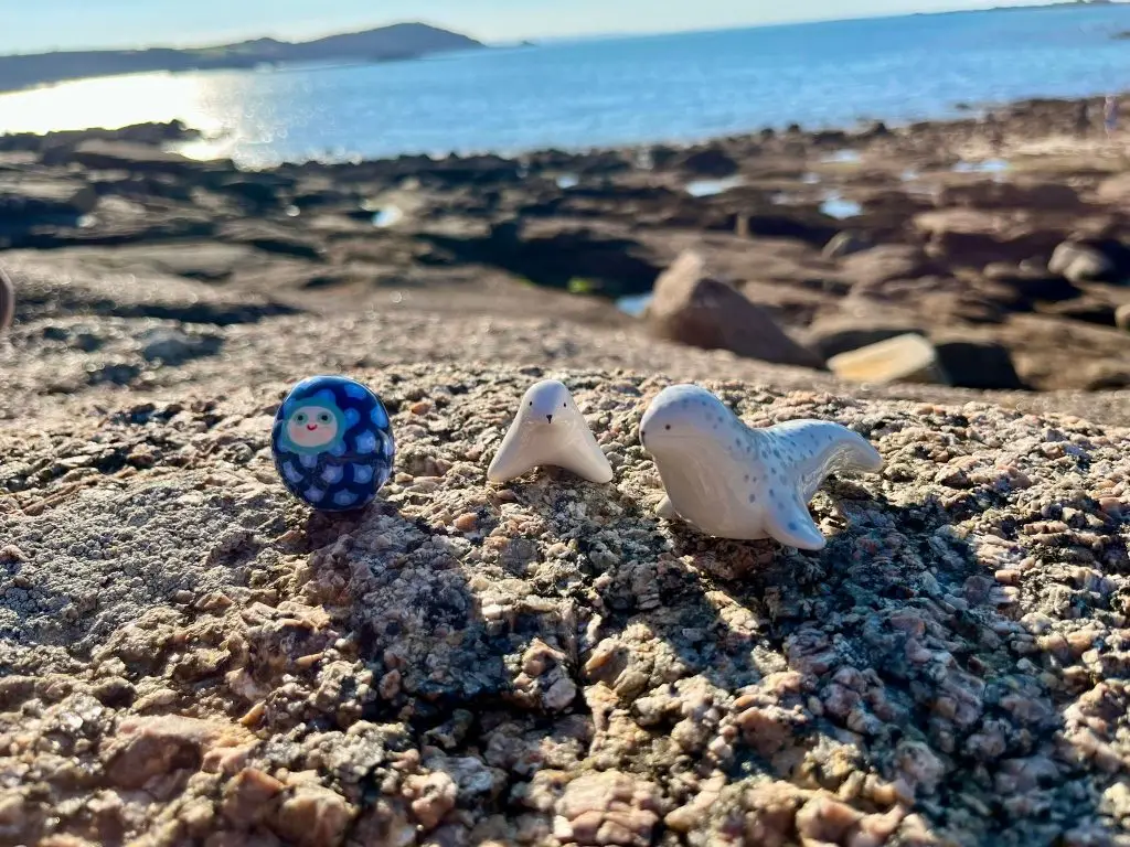 Idées cadeaux de la marque Dodo Toucan