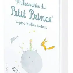 La philosophie du Petit Prince